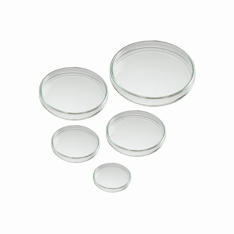 Biology laboratory materials arranged on a work surface
